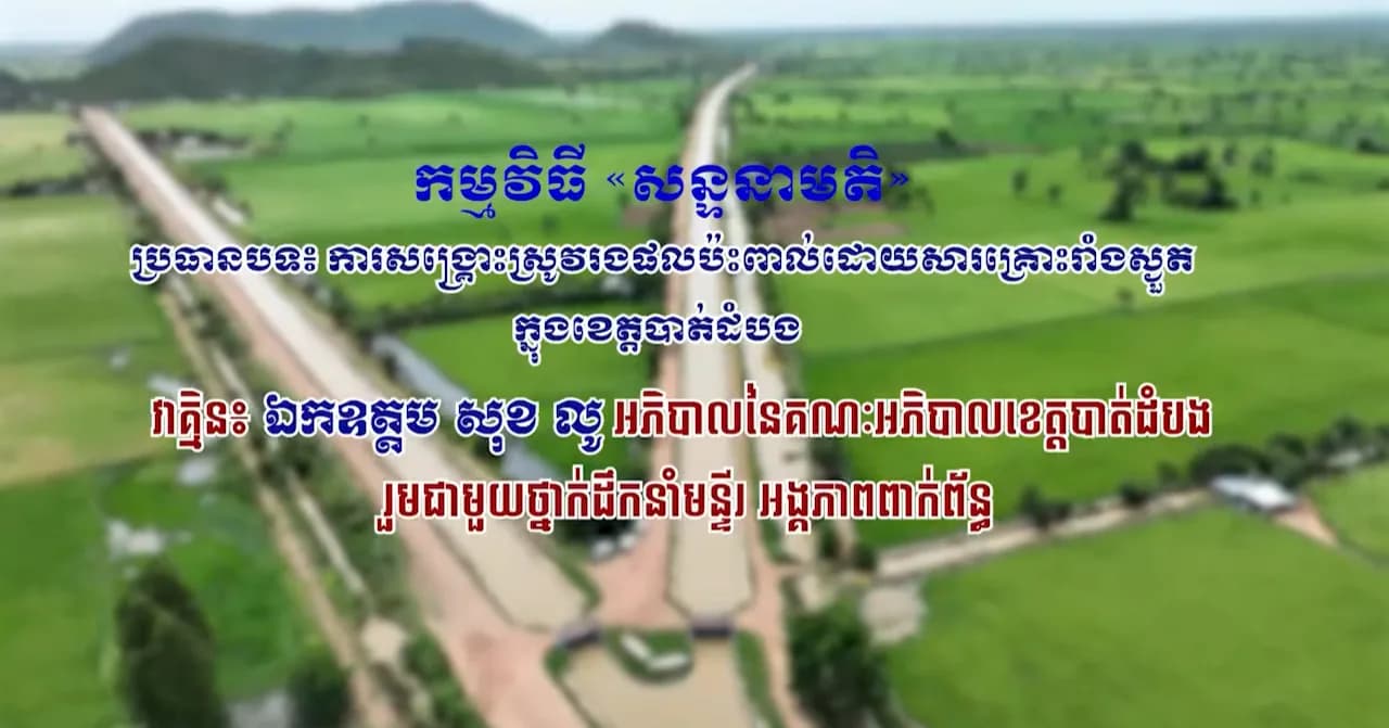 ការសង្គ្រោះស្រូវរងផលប៉ះពាល់ដោយសារគ្រោះរាំងស្ងួត ក្នុងខេត្តបាត់ដំបង