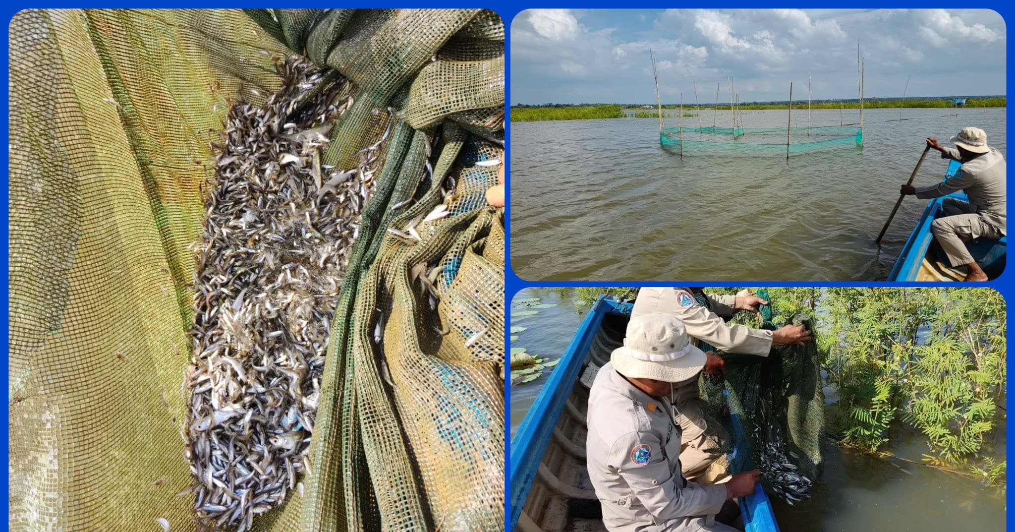 អាជ្ញាធរ និងសមត្ថកិច្ចខេត្តត្បូងឃ្មុំ ចុះបង្ក្រាបបទល្មើសជលផល ដកហូត និងបំផ្លាញឧបករណ៍ស្បៃមុងខុសច្បាប់ ព្រមទាំងចាក់លែងកូនត្រី ២៥គីឡូក្រាម ចូលធម្មជាតិវិញ
