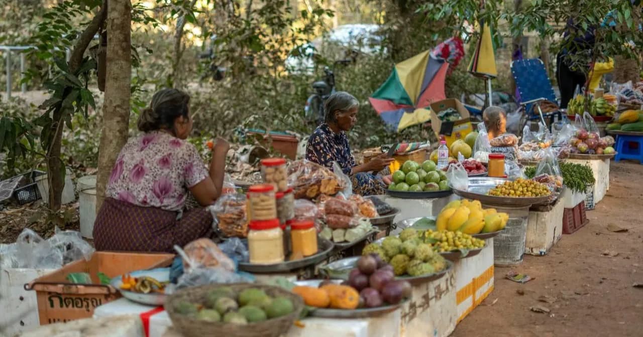 បន្លែផ្លែឈើអ្នកស្រុកអង្គរ នាវស្សានរដូវ