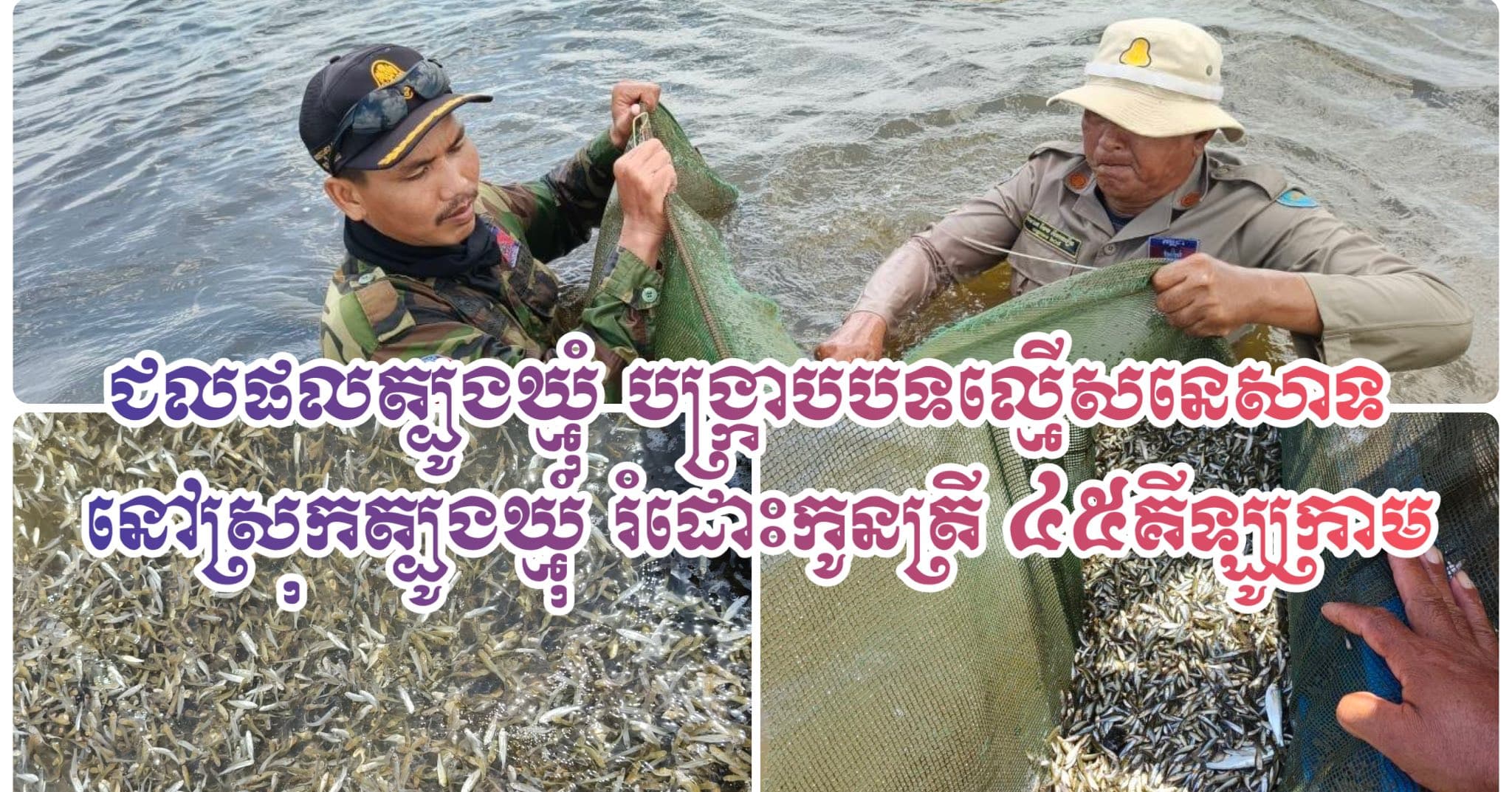 ជលផលត្បូងឃ្មុំ បង្ក្រាបបទល្មើសនេសាទនៅស្រុកត្បូងឃ្មុំ រំដោះកូនត្រី ៤៥គីឡូក្រាម