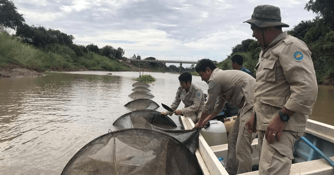 ជំនាញជលផលកំពង់ចាម សហការជាមួយអាជ្ញាធរមូលដ្ឋាន ចុះបង្រ្កាបបទល្មើជលផល ០១ករណី នៅក្នុងភូមិសាស្ត្រស្រុកកងមាស