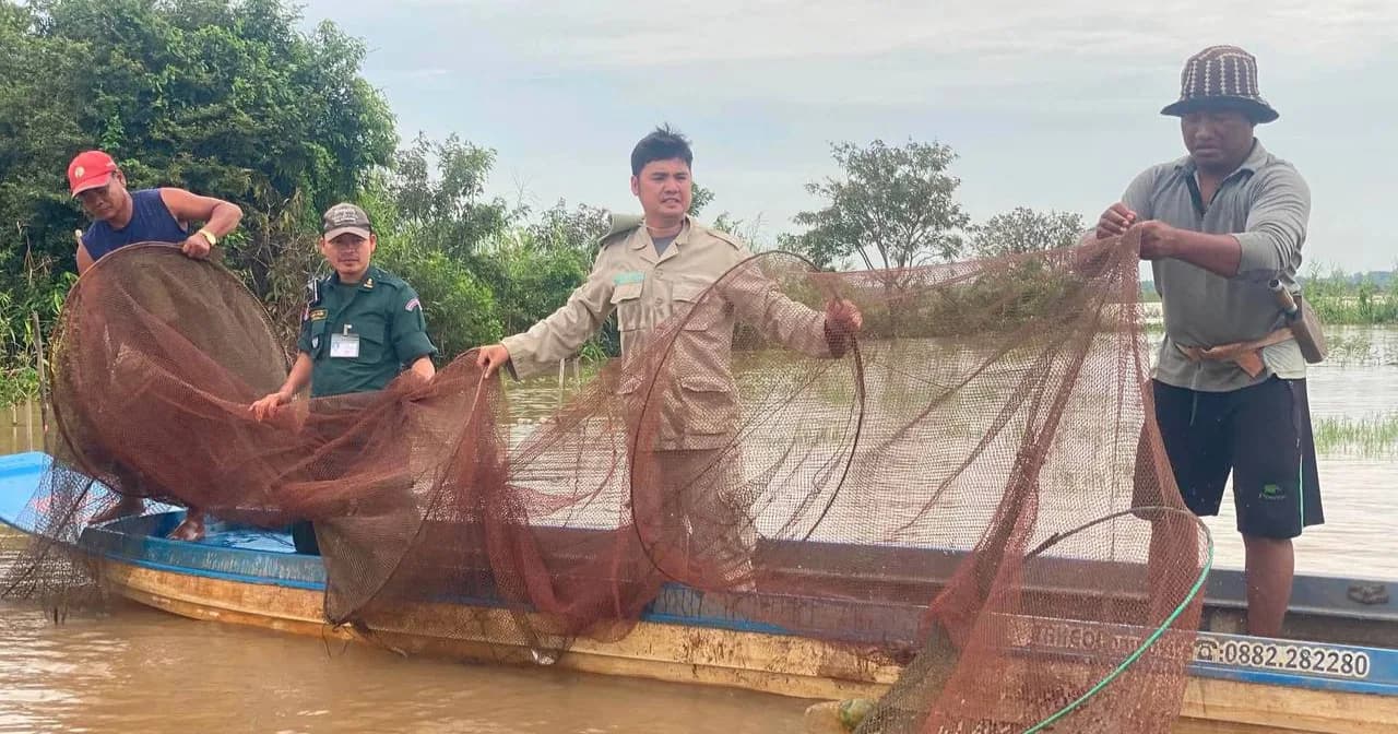 បង្រ្កាបបទល្មើស ៤ករណី នៅក្នុងភូមិសាស្ត្រស្រុកព្រៃឈរ ជំនាញខណ្ឌជលផល បានបំផ្លាញឧបករណ៍ល្មើសជាច្រើន និងលែងកូនត្រីចម្រុះចូលបឹងធម្មជាតិវិញ