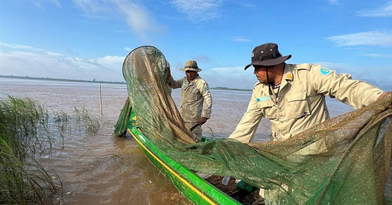 កូនត្រីចម្រុះទម្ងន់ជិត ៦០គីឡូក្រាម បានលែងចូលបឹងធម្មជាតិវិញ និងបំផ្លាញឧបករណ៍ល្មើសមួយចំនួន នាពេលចុះបង្ក្រាបបទល្មើសជល ២ករណី នៅក្នុងភូមិសាស្ត្រស្រុកស្ទឹងត្រង់
